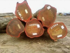 At Palmadex,  we are premium Bubinga wood suppliers and exporters from Nigeria