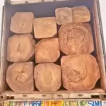 Eku Wood Export Challenges and Solutions