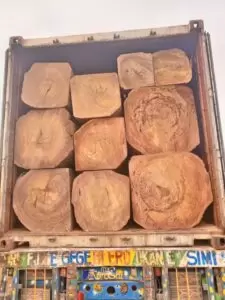 Palmadex solves all Eku wood export challenges