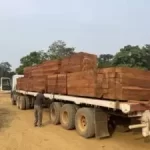 Eku Wood Export Compliance Checklist by Palmadex