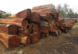 Partner with Palmadex today to solve every Tali wood export challenges
