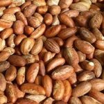 International Buyers Prefer Palmadex for Bitter Kola Exports