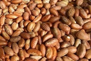 Reach out to Palmadex today to partner with a reliable Nigerian Bitter Kola exporter