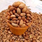 Bitter Kola Export Compliance Checklist by Palmadex