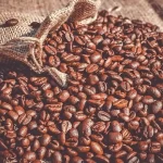 International Buyers Choose Palmadex for Nigerian Coffee Exports