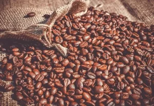 Reach out to Palmadex today for Nigerian coffee exports