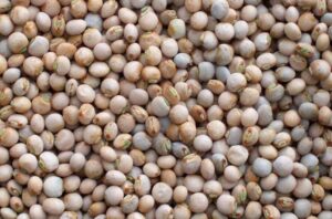 Reach out to Palmadex today for Nigerian pigeon peas export