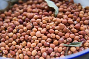 Reach out to Palmadex today for pigeon pea export compliance requirements for international buyers