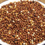Pigeon Pea Export Challenges and How Palmadex Solves Them