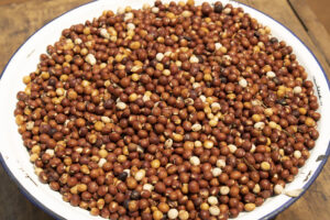 Reach out to Palmadex today to help you solve common challenges when exporting pigeon peas from Nigeria