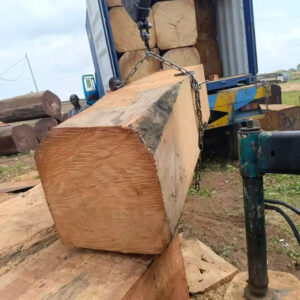 Reach out to Palmadex today for teak wood export from Nigeria