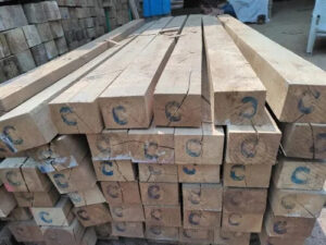 Reach out to Palmadex today for Teak wood export from Nigeria